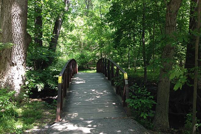 Best Trail Runs Near Me： Discover Scenic Local Paths for Every Runner