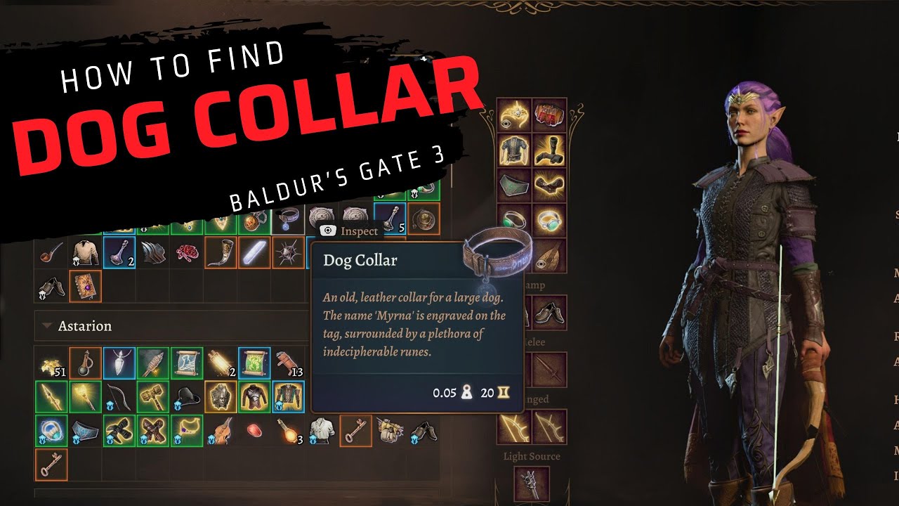 Collar Runes Guide： Locations and Benefits in Baldur’s Gate 3