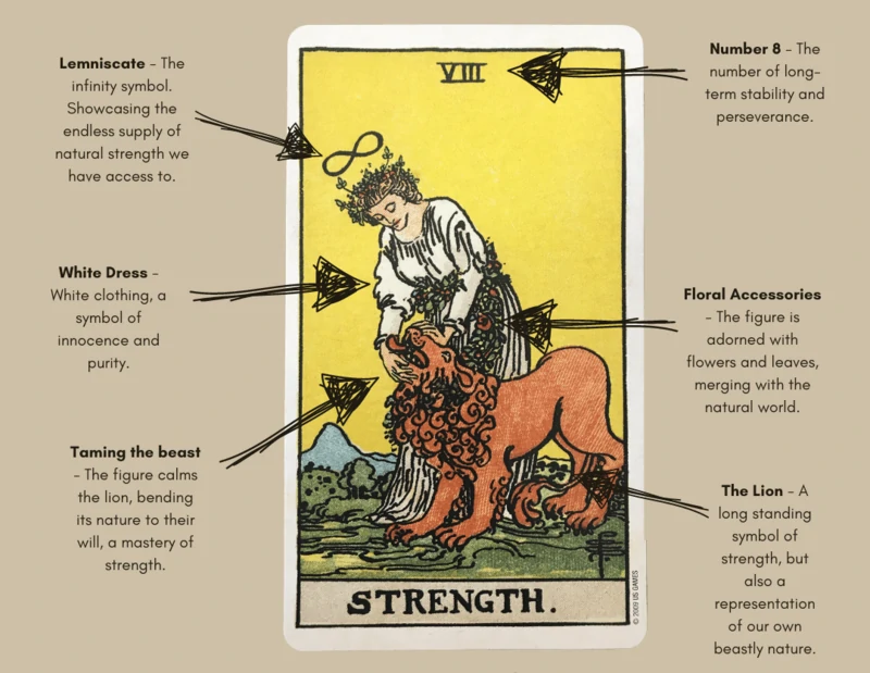 strength tarot year card