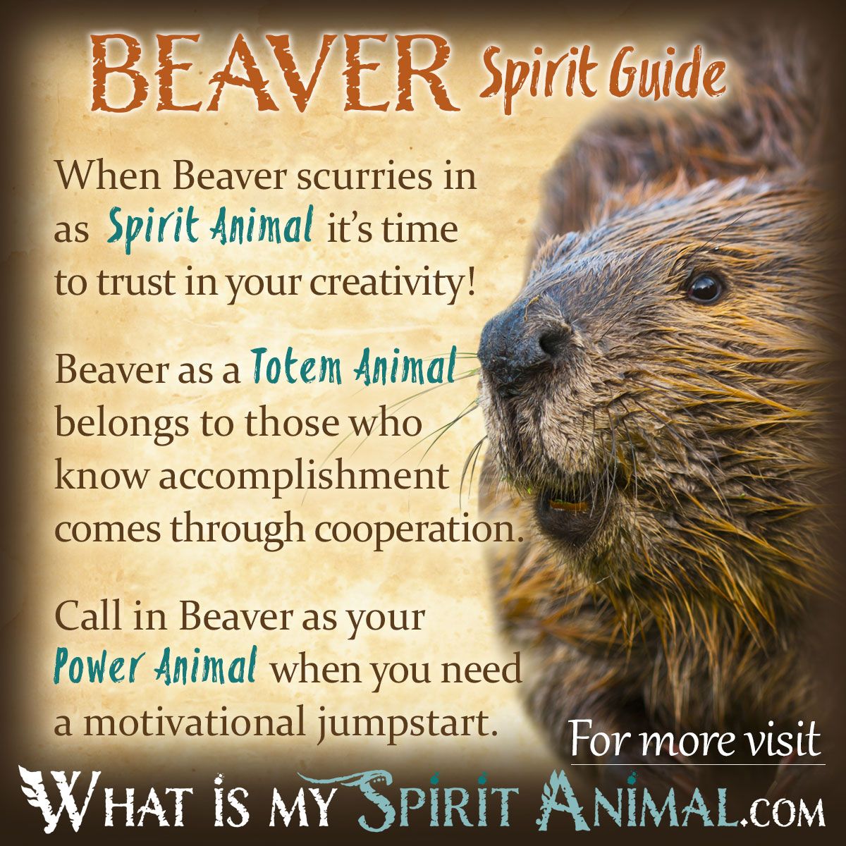 Unlocking the Power of the Beaver Totem: A Guide