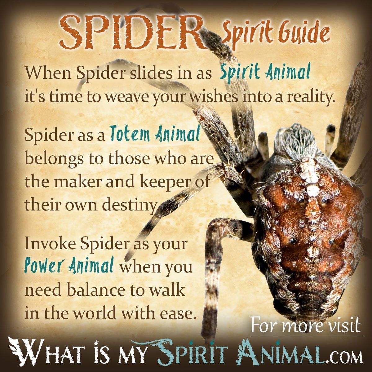 Spider Totem Meaning: Uncover the Spiritual Power of the Spider Spirit Animal