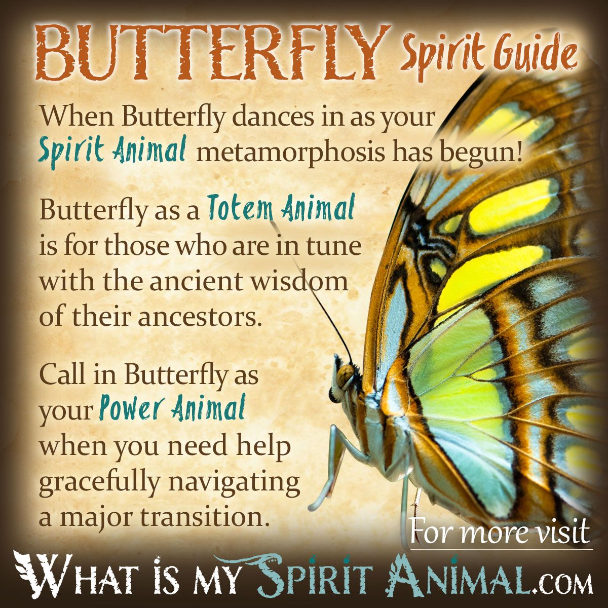 Butterfly Totem: Symbol of Change, Hope, and Spiritual Rebirth