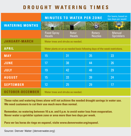 How Long Should You Run an Irrigation System? Tips for Perfect Lawn Watering