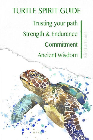 Embrace the Turtle Spirit: Totem Meaning and Symbolism