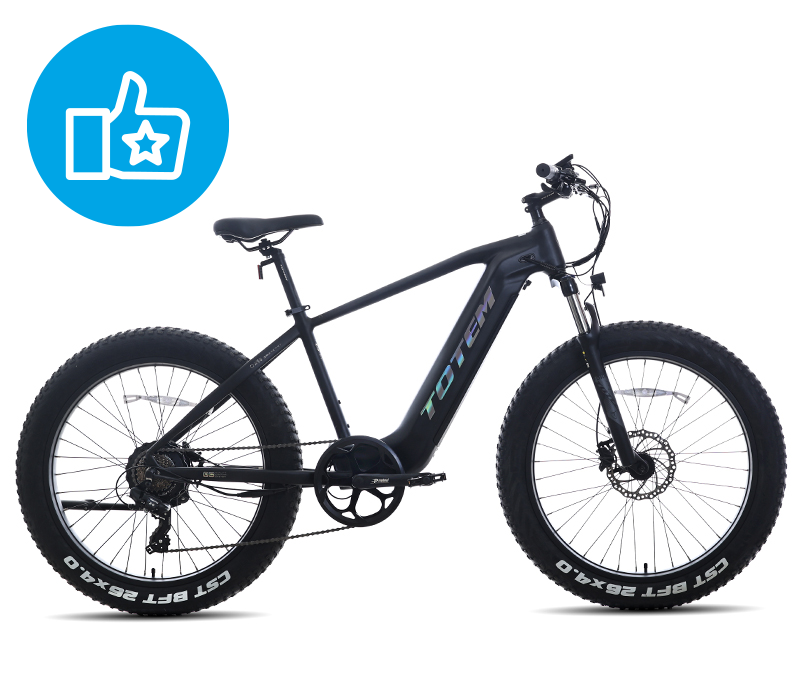 Totem Victor 2.0 Electric Mountain Bike: Affordable Power and Performance