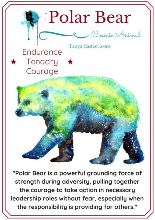 Polar Bear Spirit Animal: A Totem of Endurance, Protection, and Courage