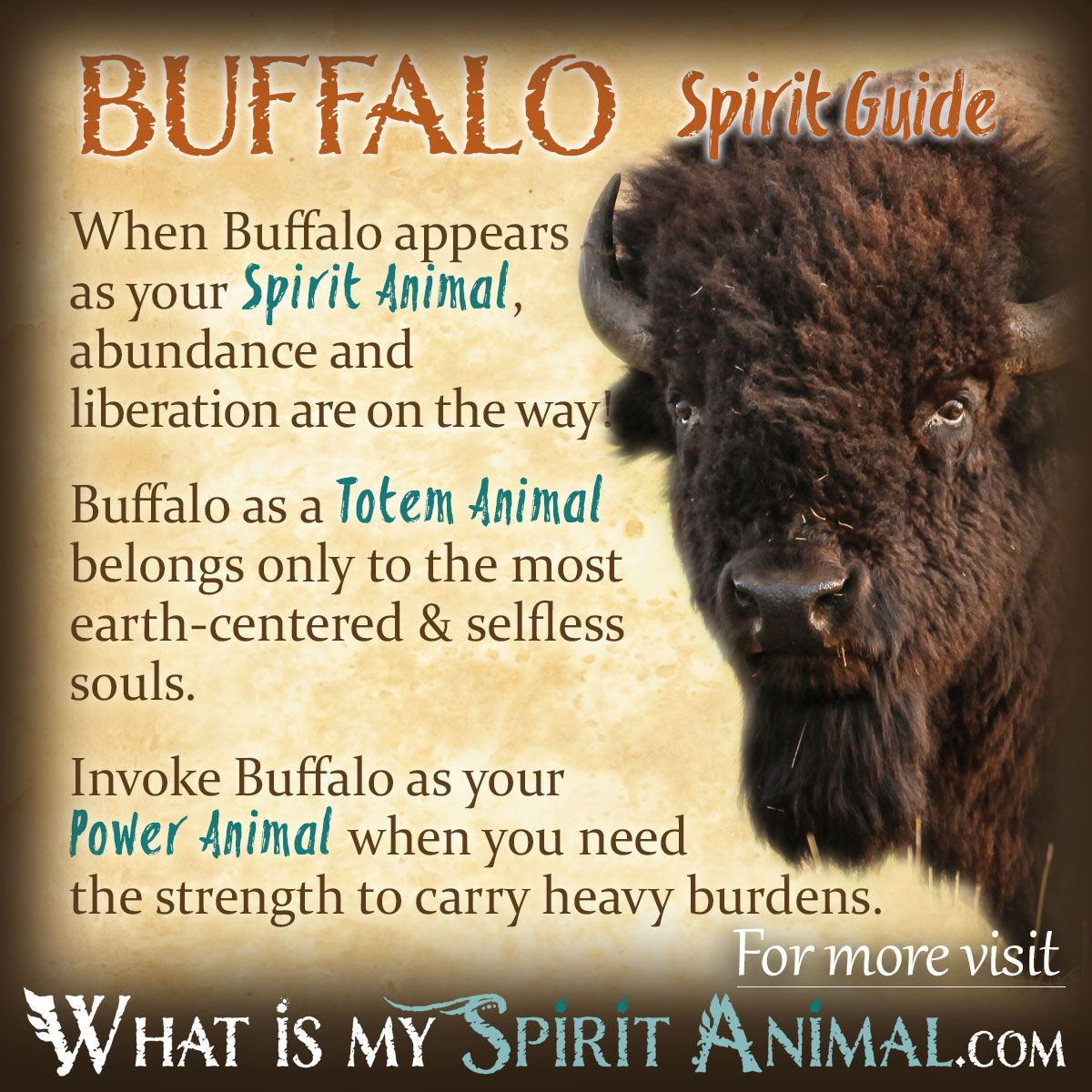 Buffalo Totem: Meaning, Symbolism and Spiritual Significance