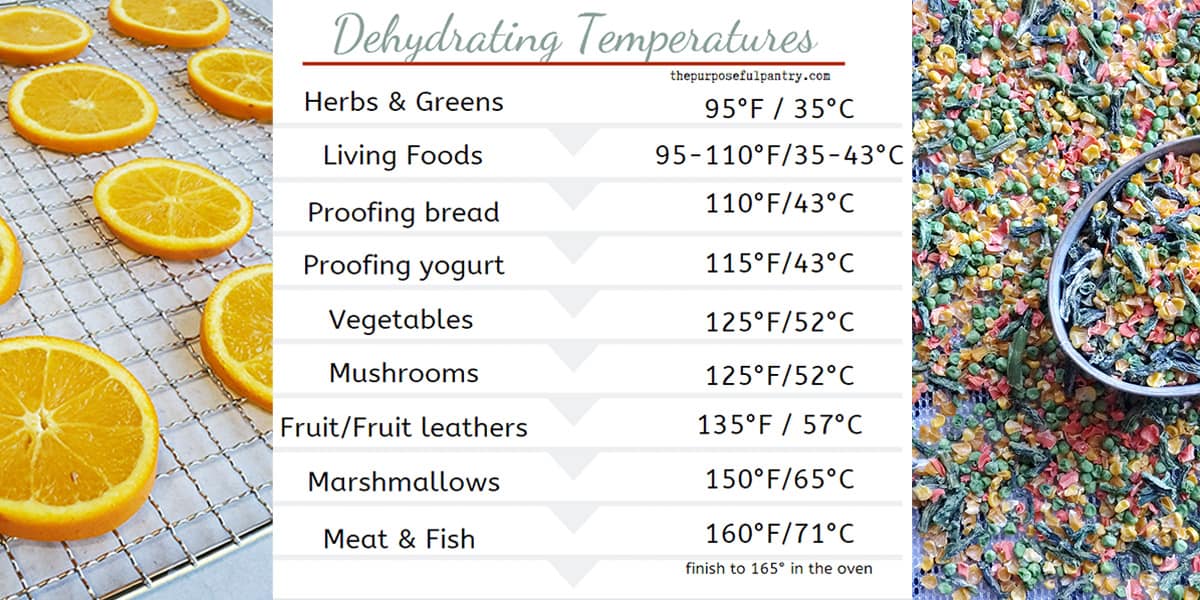 Overnight Dehydrating: Tips and Safety Precautions