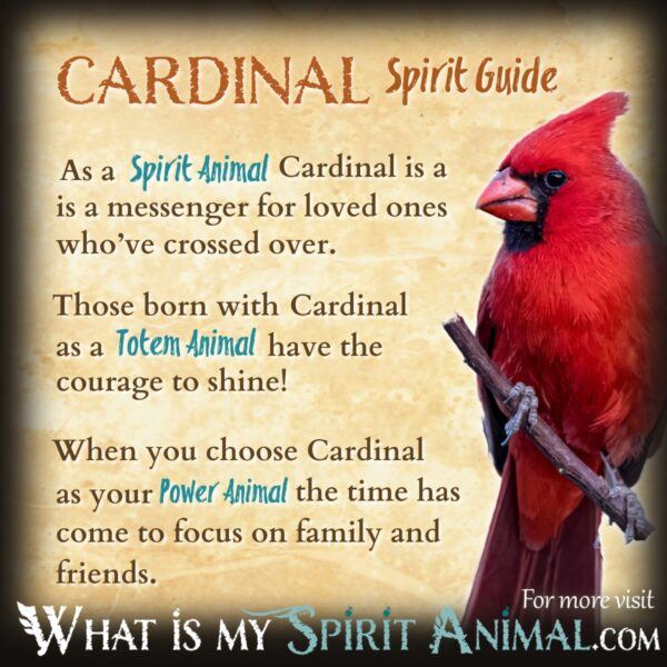 Cardinal Totem: Understanding Its Deep Meaning and Symbolism