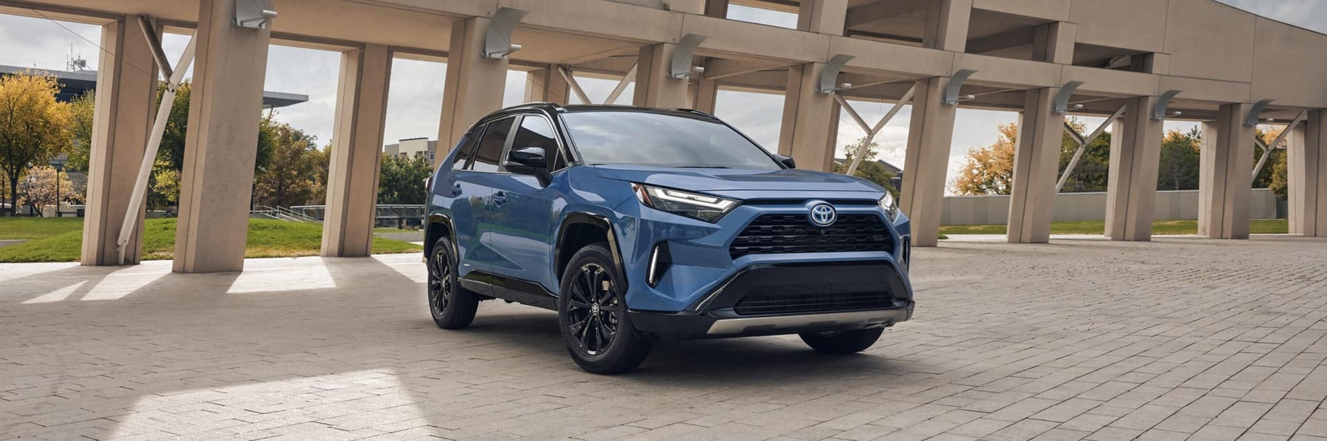 2024 Toyota RAV4 XLE, SE & XSE: A Complete Trim Level Comparison