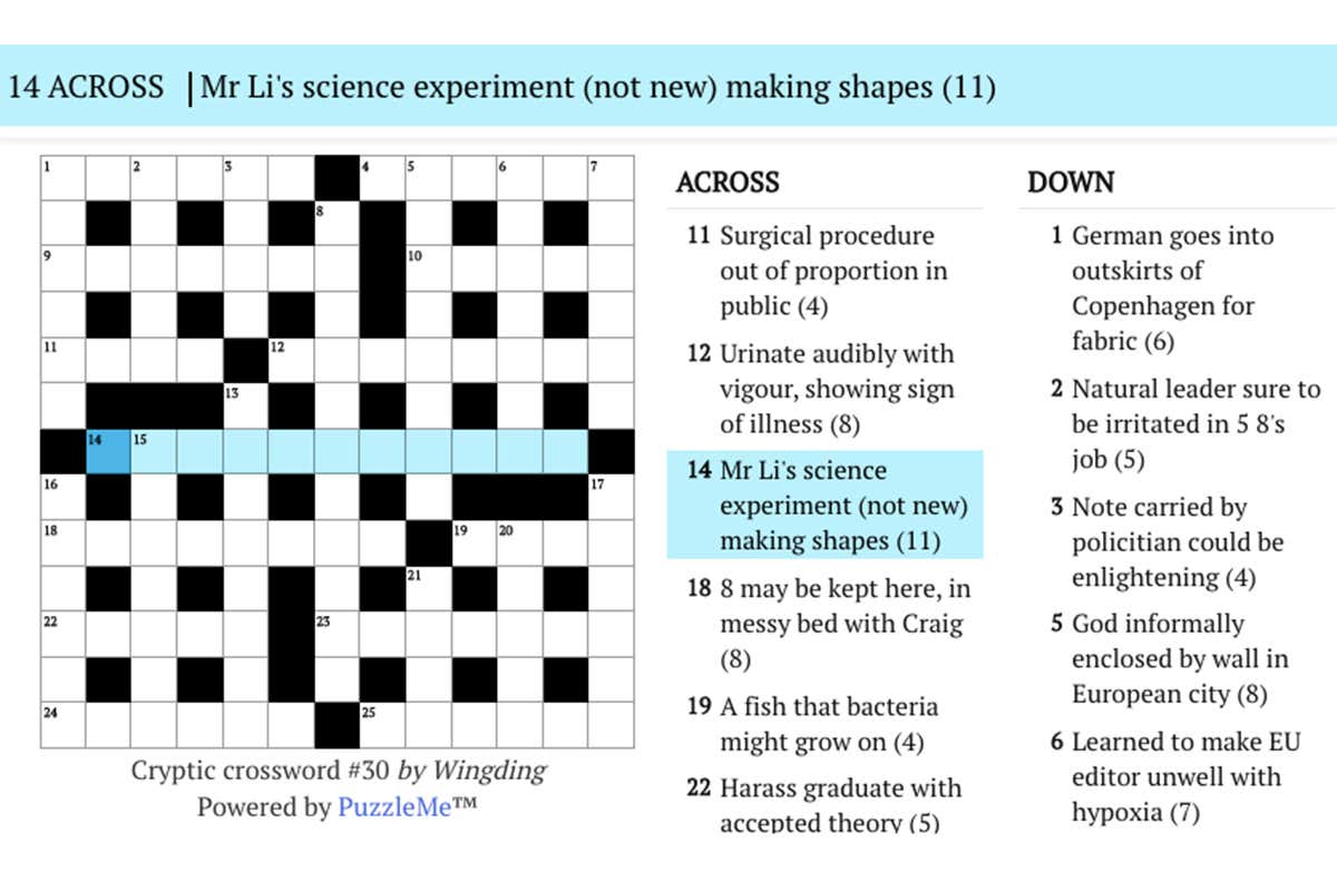 What Is the Instagram Feature Since 2020? Crossword Clue Explained