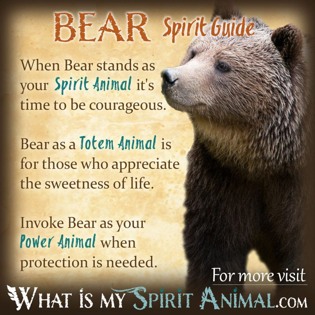 Bear Spirit Totem: Uncover the Powerful Symbolism and Meaning Behind the Bear