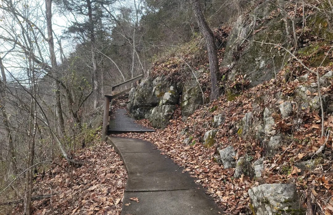 Where to Run in Ewing, KY: Explore the Best Trails and Paths