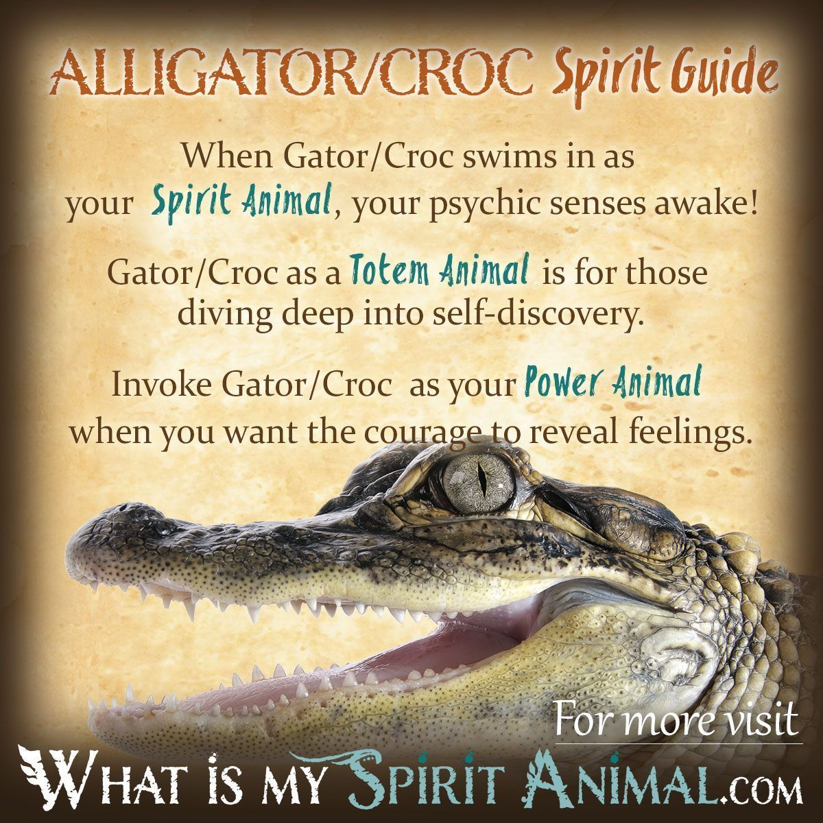 Alligator Totem: Strength, Protection, and Adaptability Explained