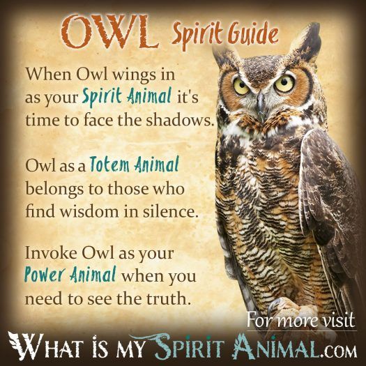 Owl Spirit Totem Meaning: How the Owl Guides Wisdom, Protection, and Insight