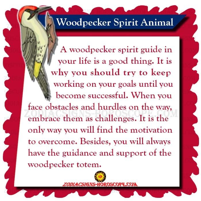 Woodpecker Animal Totem: Symbolism, Meaning, and Opportunities