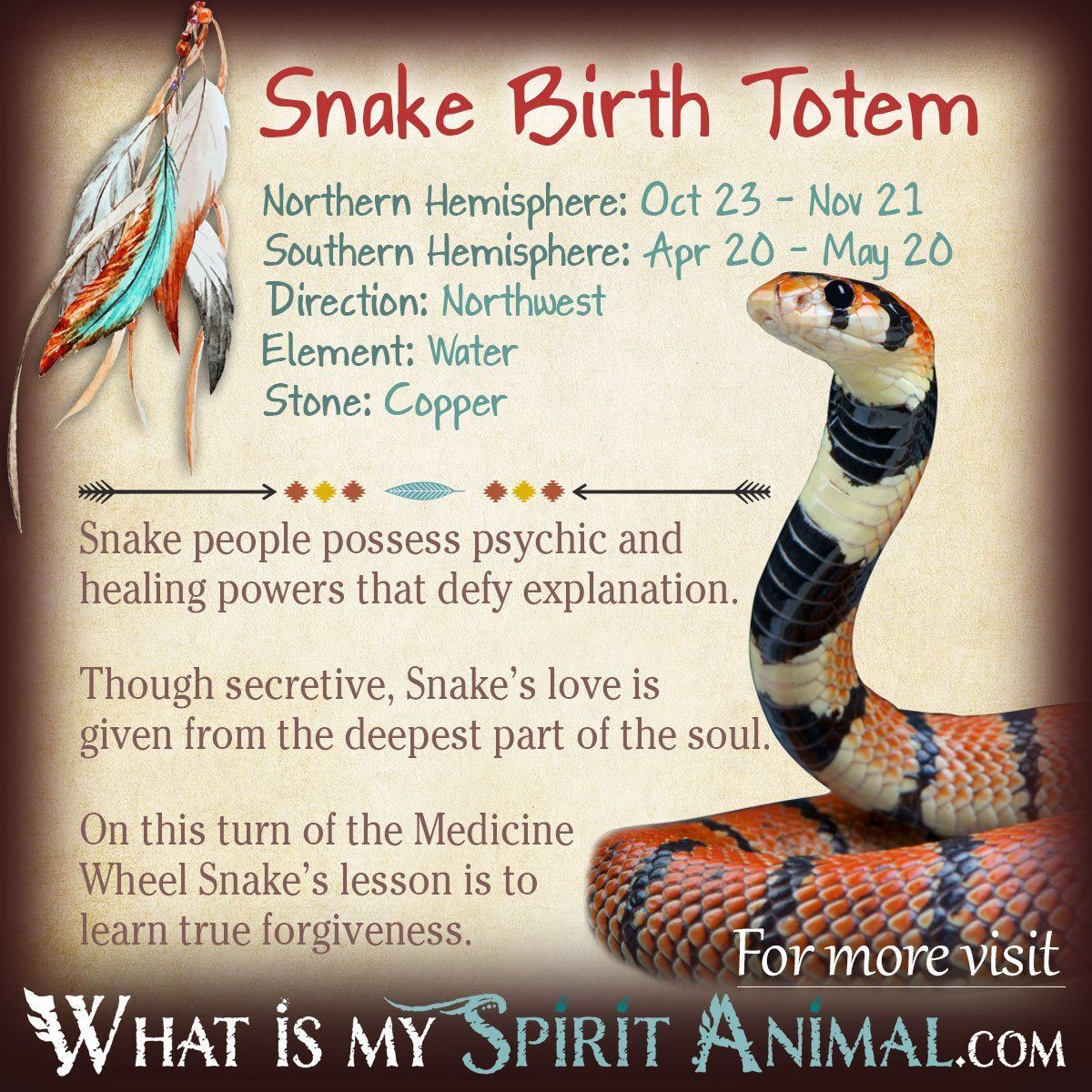 Discover the Spiritual Meaning of the Snake Totem: Growth, Rebirth, and Power