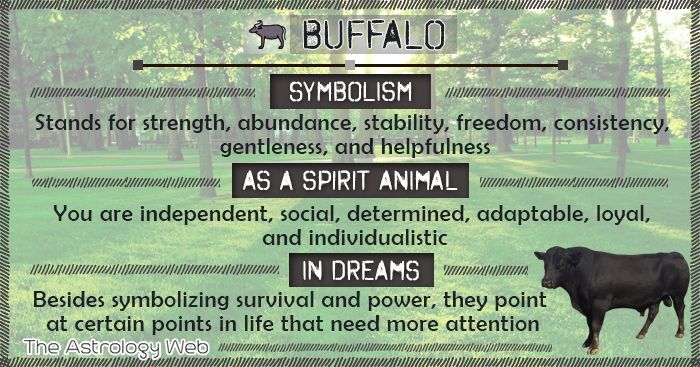 Buffalo Totem: Meaning, Symbolism and Spiritual Significance