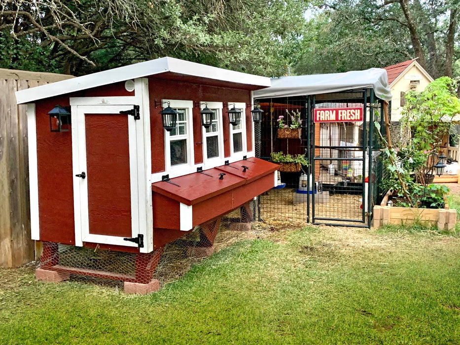 Best Chicken Coops and Runs: Secure and Spacious Solutions for Your Flock