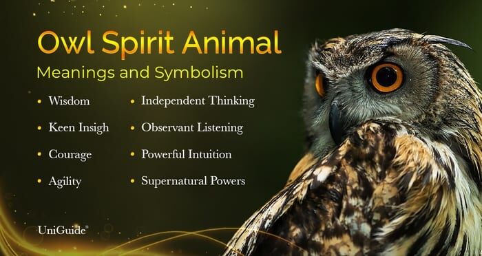 Owl Spirit Totem Meaning: How the Owl Guides Wisdom, Protection, and Insight