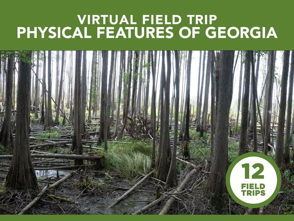 Exploring Georgias 6 Major Physical Features: Mountains, Swamps & More