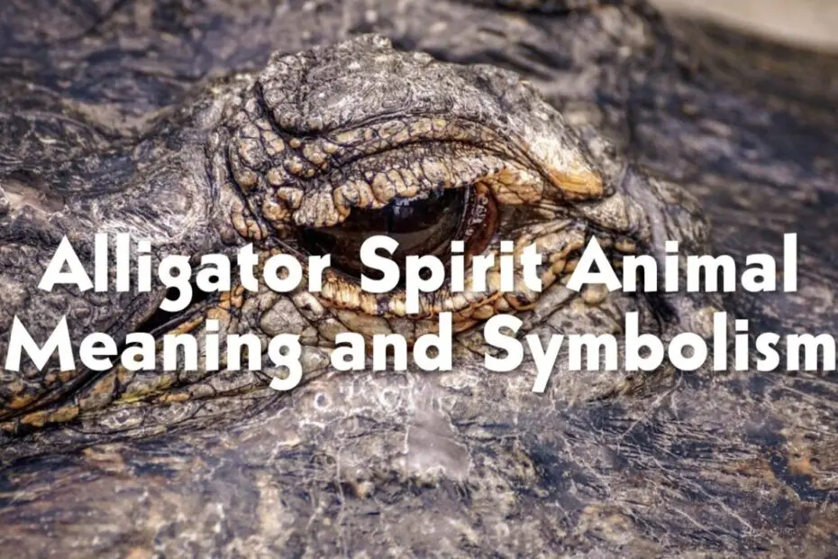 Alligator Totem: Strength, Protection, and Adaptability Explained