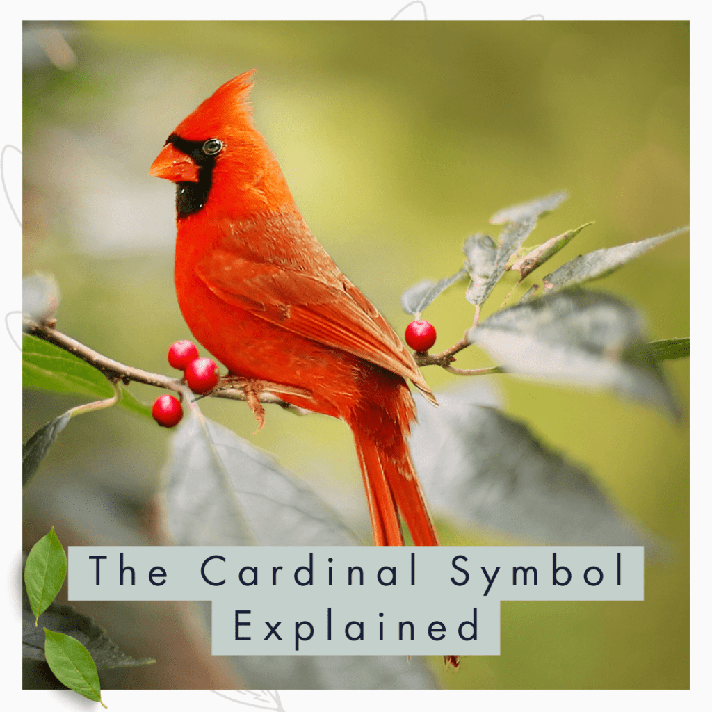 Cardinal Totem: Understanding Its Deep Meaning and Symbolism