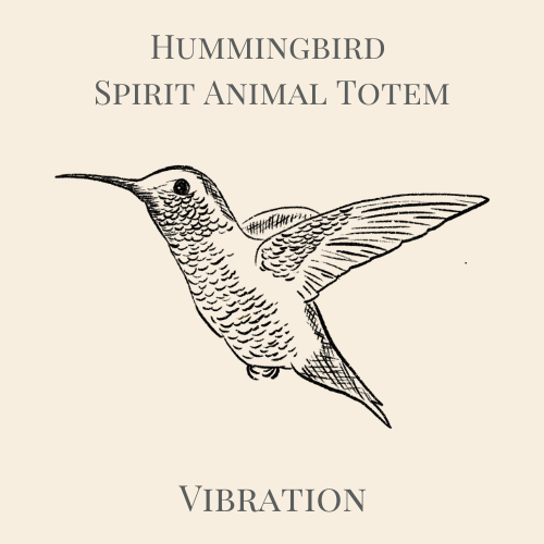 hummingbird totem