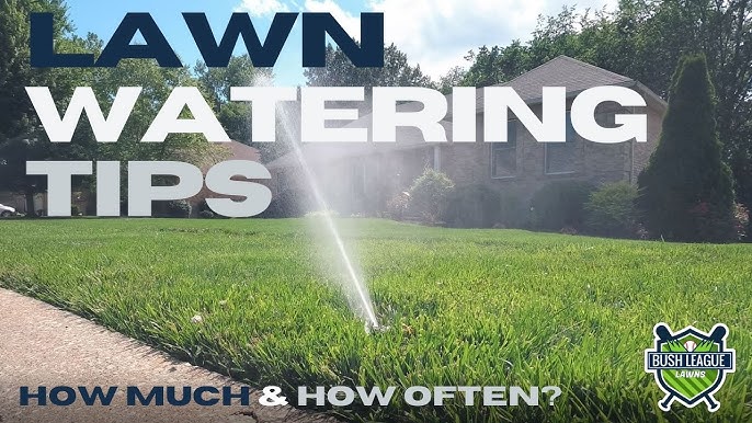 How Long Should You Run an Irrigation System? Tips for Perfect Lawn Watering