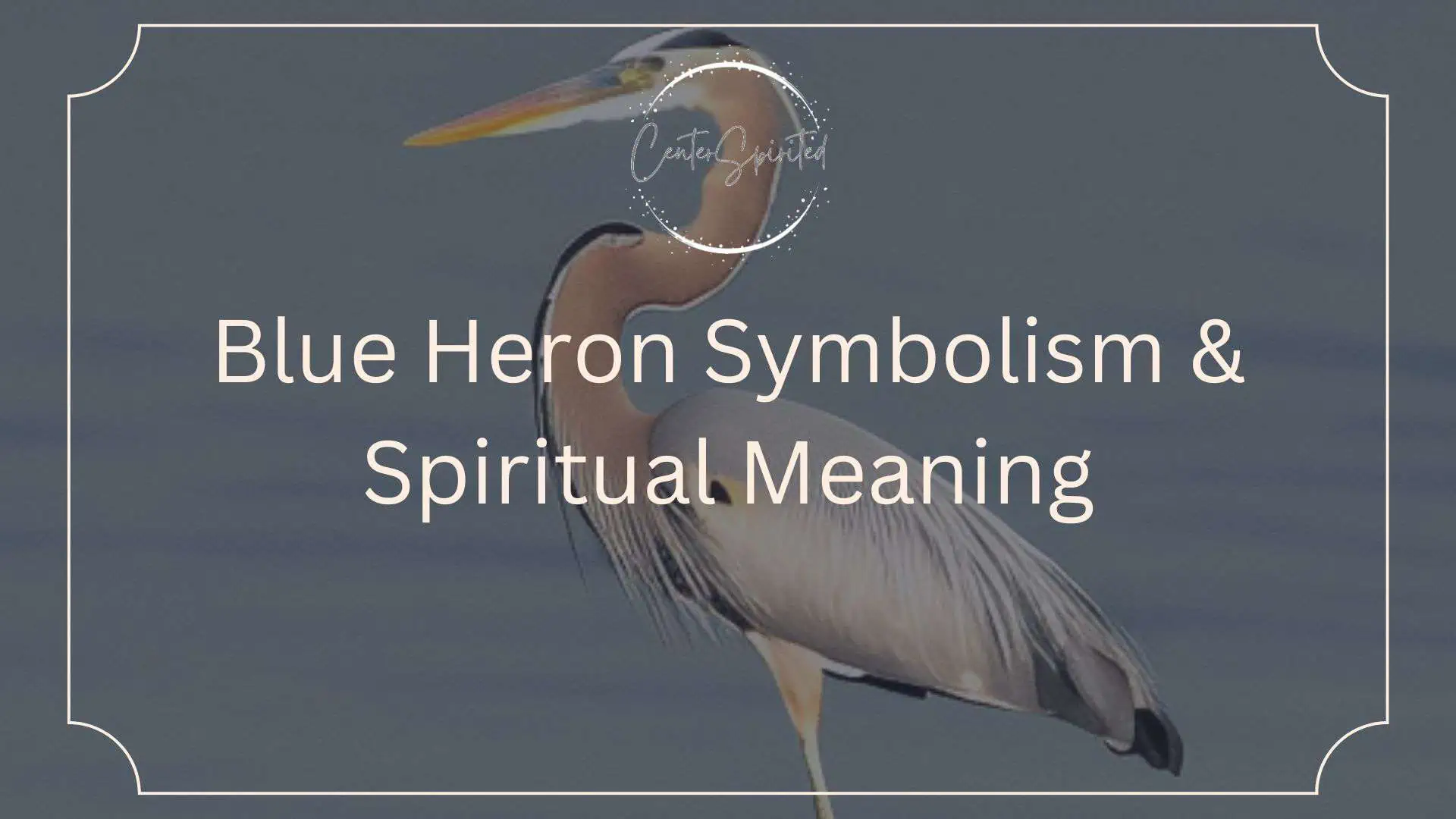 Discover the Power of the Blue Heron Animal Totem: A Guide