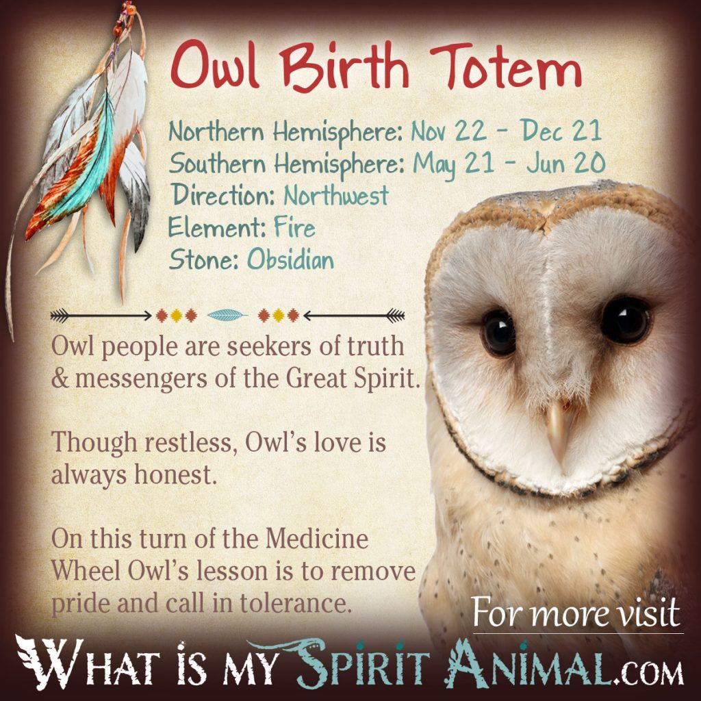 Native American Birth Totems: How Your Zodiac Animal Influences Your Life