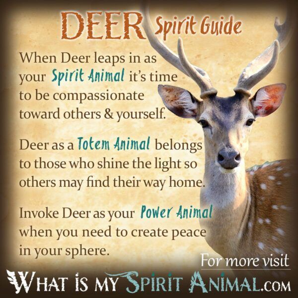 What Does the Deer Totem Represent? Insights into Its Symbolism and Power