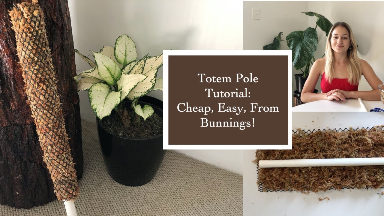 How to make a totem plant pole? Beginner tips and simple steps!