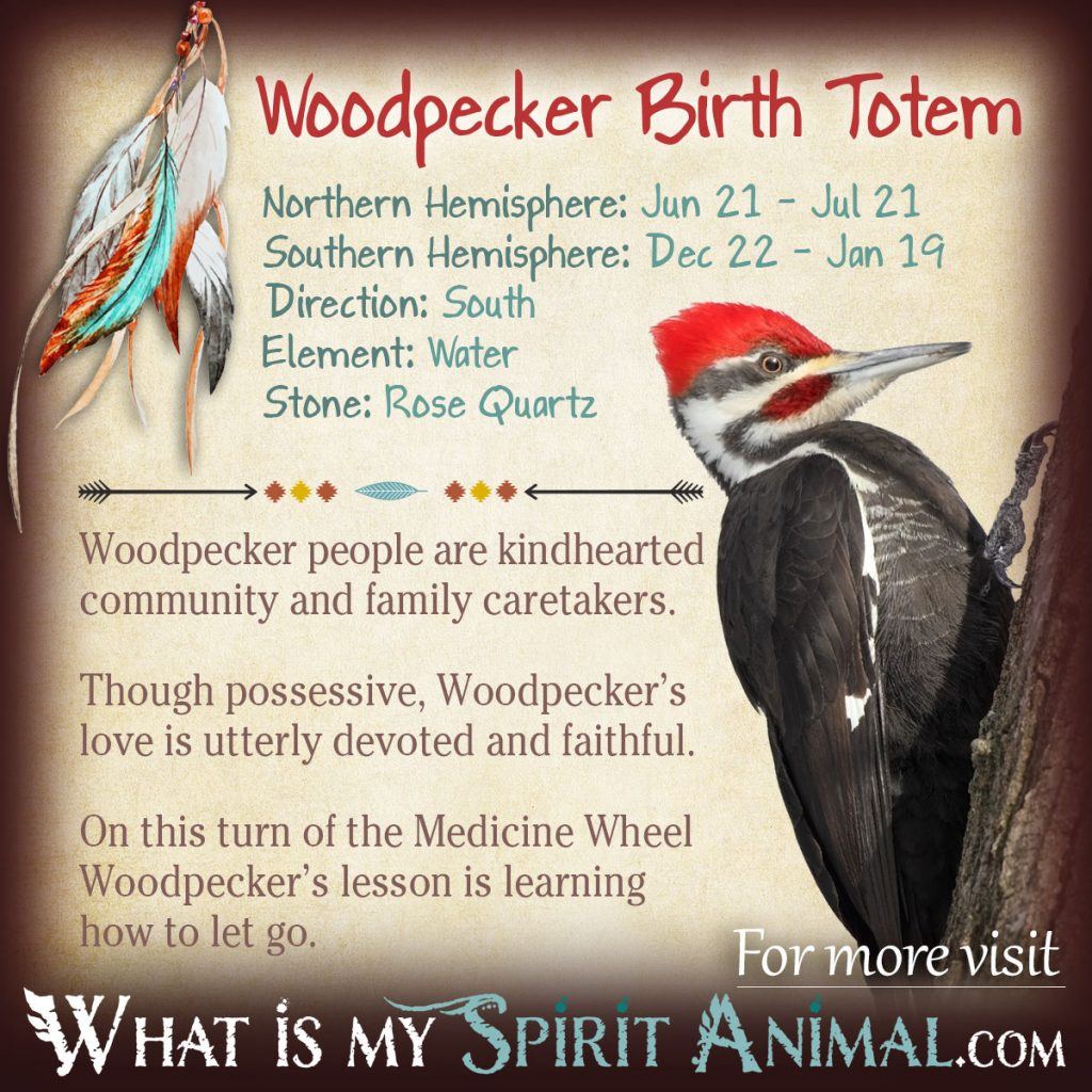 Totem Woodpecker: Find Your Spirit Animal Guide Now