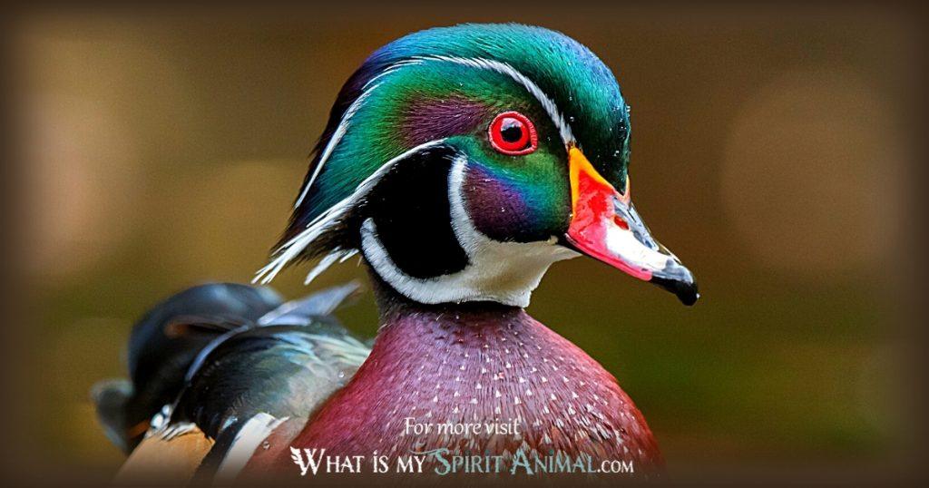 Duck Animal Totem: Finding Stability and Resilience in Challenging Times