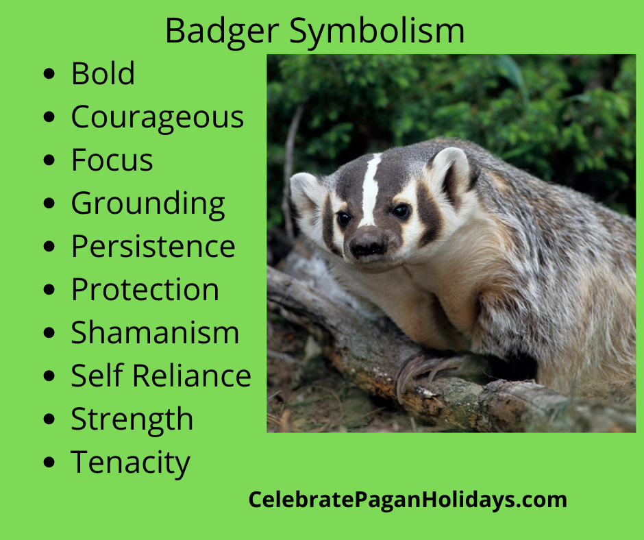 Understanding the Badger Animal Totem: What It Tells You About Yourself.