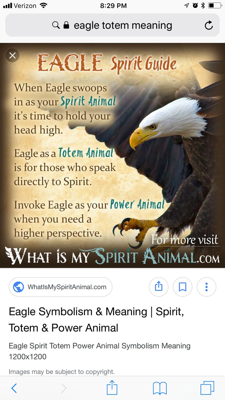 The Meaning of Eagle on Totem Pole: A Quick Guide