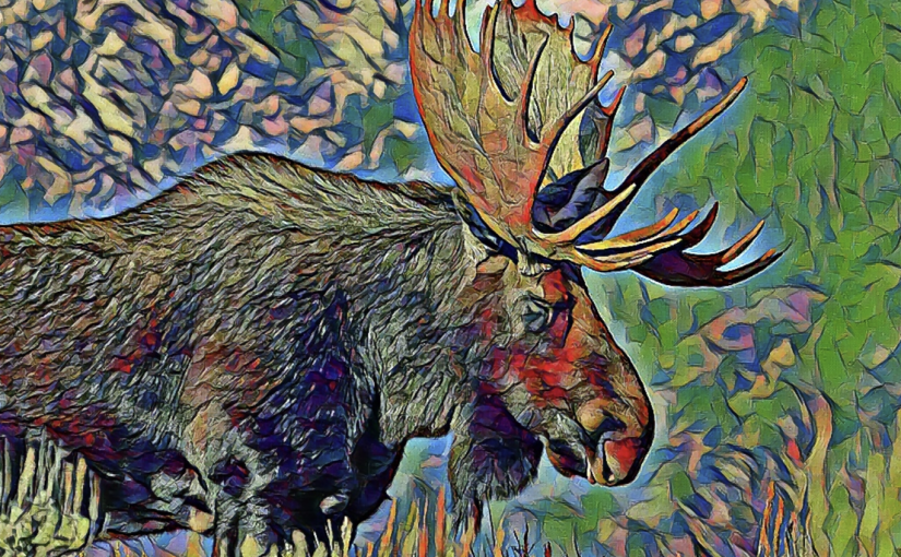 Moose Animal Totem: Key to Unlock Your Inner Strength and Nobility