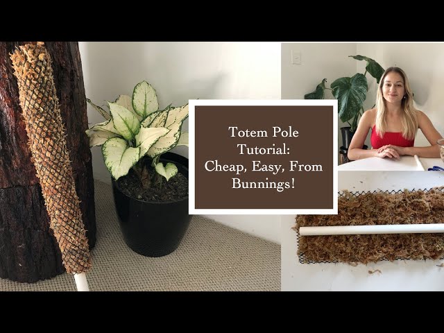 How to make a totem plant pole? Beginner tips and simple steps!