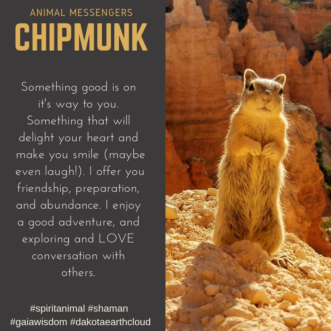 Animal Totem Chipmunk: A Guide to Its Meanings