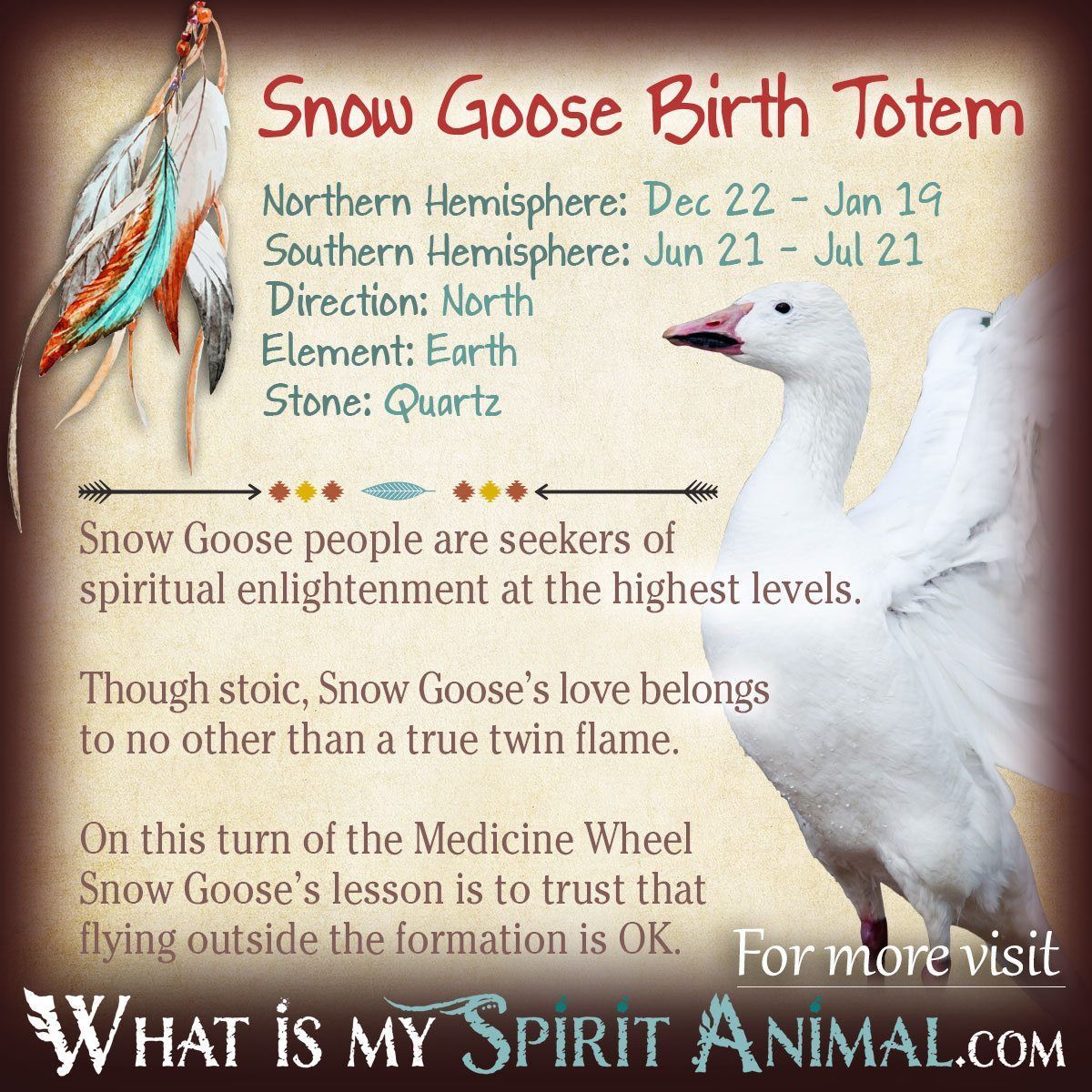 Whats an animal totem goose? Find out your spirit guide goose meaning now!