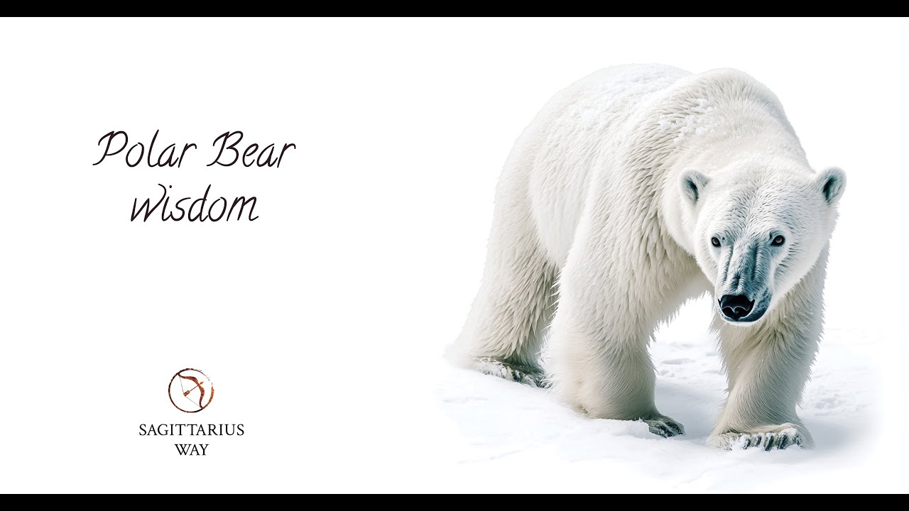 Unlocking the Power of the Polar Bear Totem: Strength & Resilience