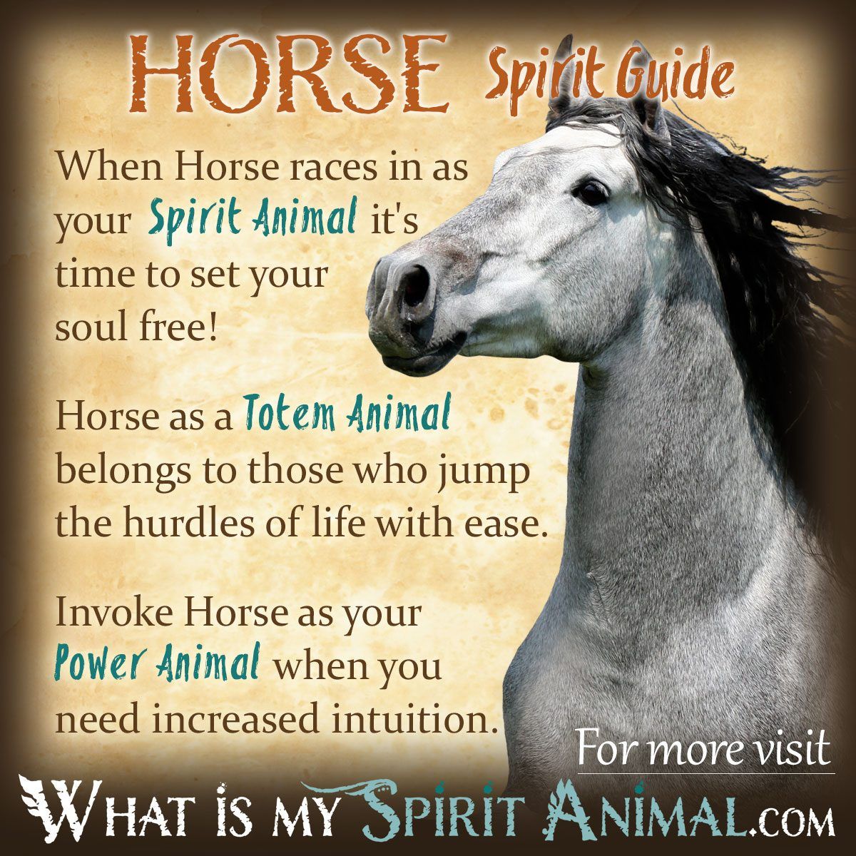 Unleash Your Inner Strength with the Horse Totem Meaning