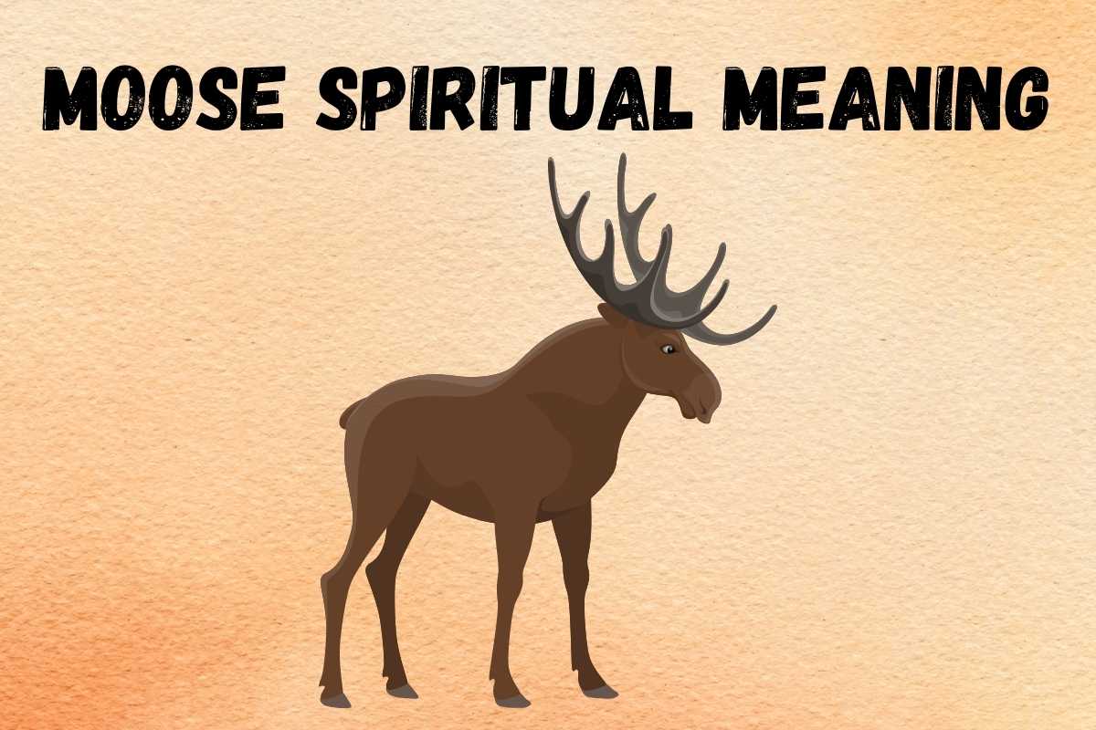 Moose Animal Totem: Key to Unlock Your Inner Strength and Nobility