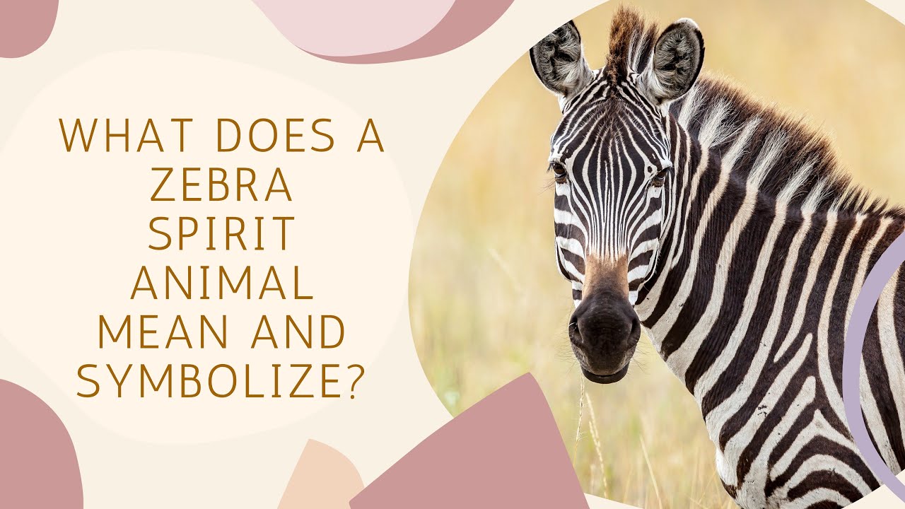 Unlock the Secrets of Zebra Animal Totem: Easy Guide to Its Meaning and Symbolism.