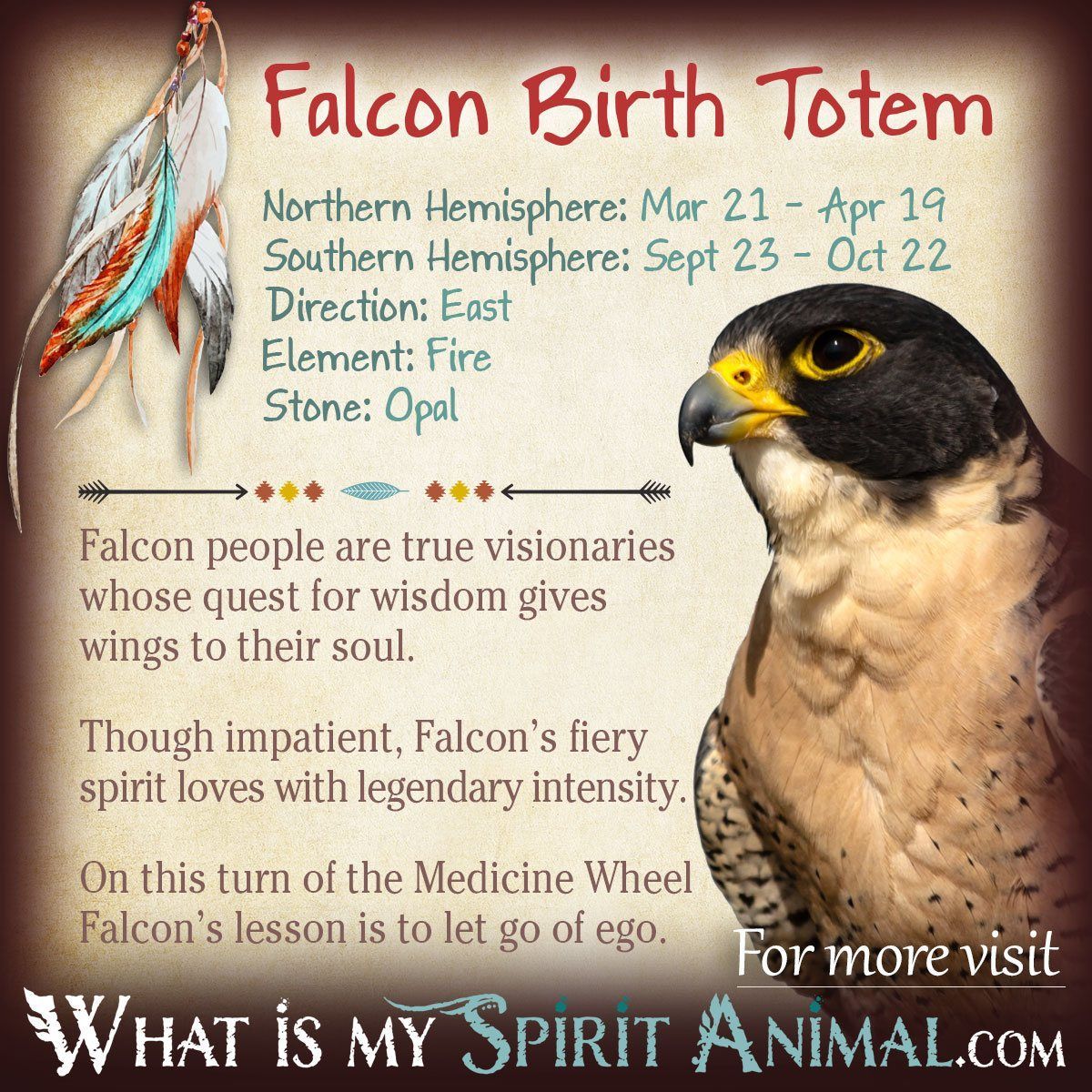 Connecting with the Falcon Totem: Wisdom and Vision