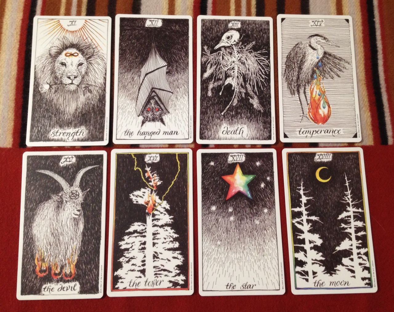 Wild Unknown Tarot Deck: Is It Really Worth the Hype?