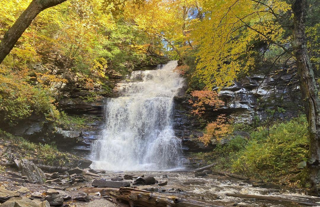 Fall Run Park Trails: Explore the Best Hiking and Biking Paths