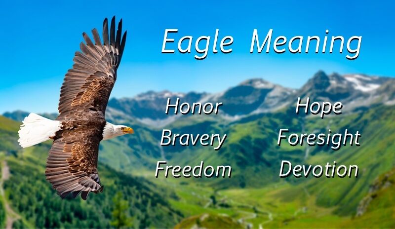 The Meaning of Eagle on Totem Pole: A Quick Guide