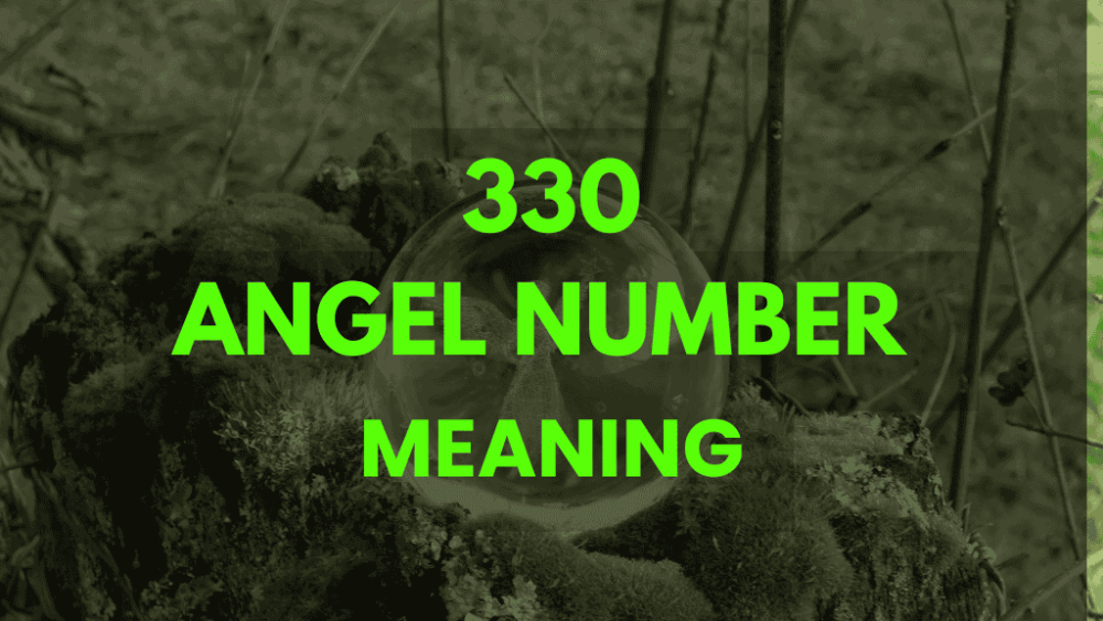 What Does Angel Number 330 Meaning Tell You About Your Life?